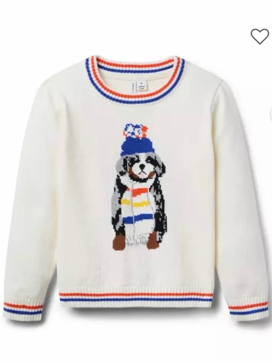 Janie and Jack Other - Janie and Jack Cream Sweater with Puppy Graphic and Blue-Orange Trim
